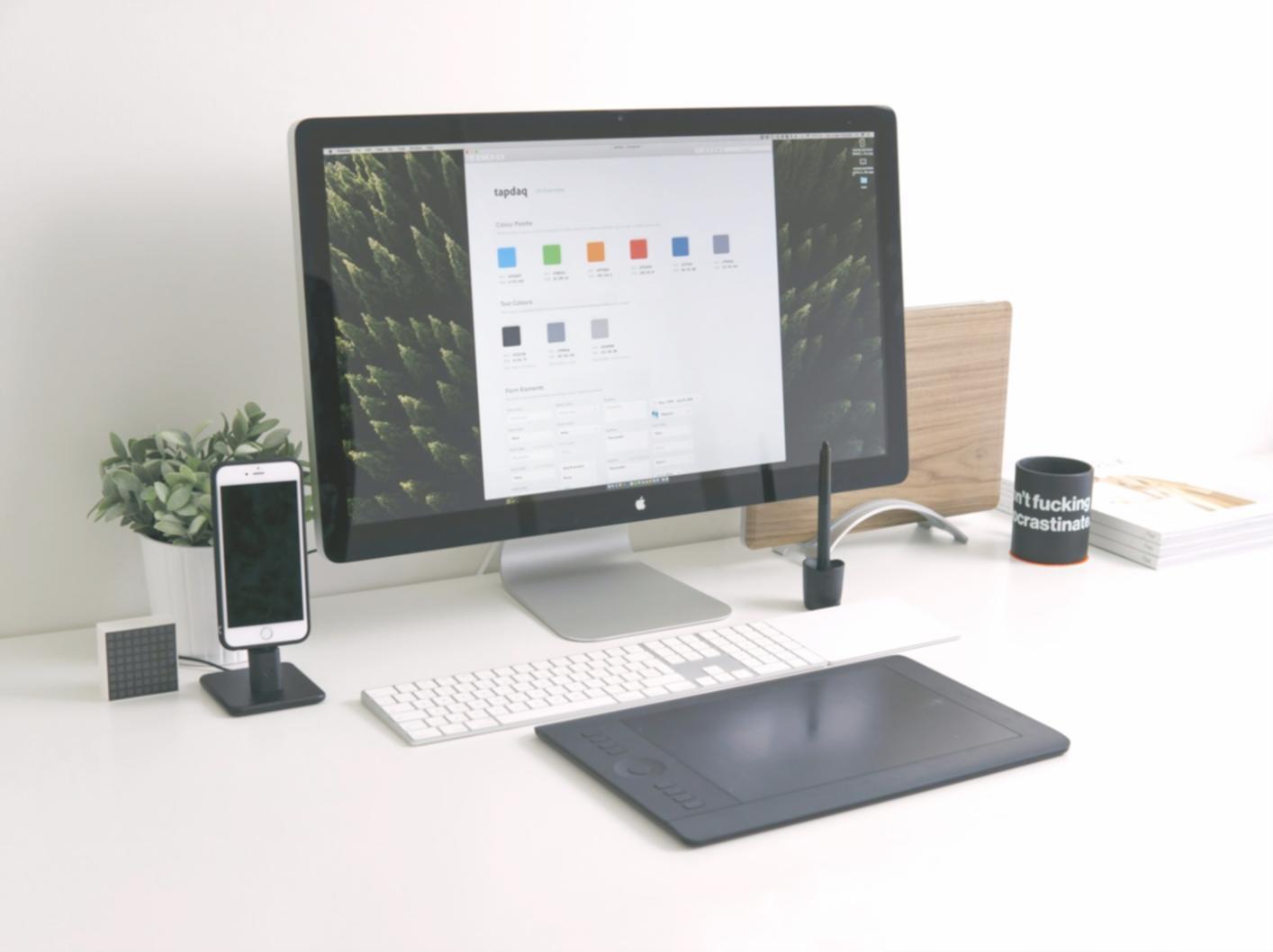 Analyse financière personnalisée avec accompagnement professionnel